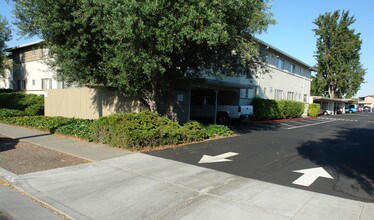 Olivewood Apartments Sunnyvale Ca California Building Photo Olivewood Apartments In Sunnyvale