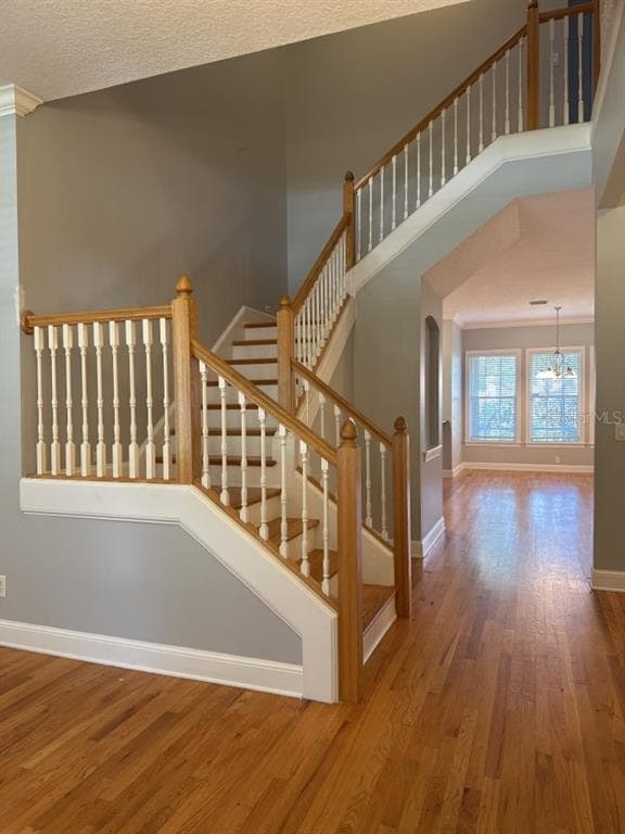 3307 W Corona St in Tampa, FL - Building Photo - Building Photo