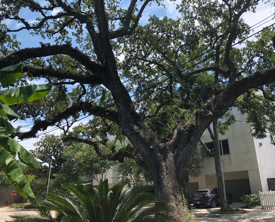 812 Branard St, Unit #2 Photo