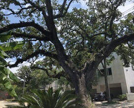812 Branard St, Unit 4 in Houston, TX - Building Photo - Building Photo