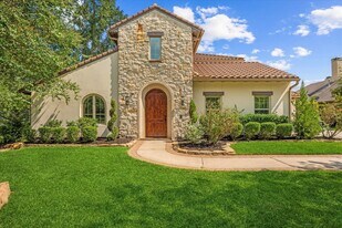 19 Paloma Bend Pl in Spring, TX - Building Photo