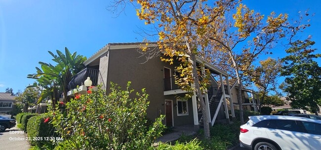 3161 Via Alicante in San Diego, CA - Building Photo - Building Photo