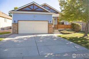 1371 Saginaw Pointe Dr in Windsor, CO - Building Photo