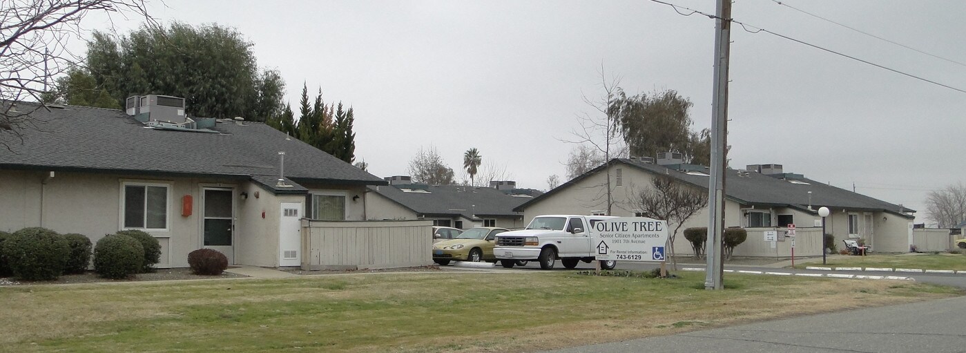 Olive Tree Senior Apartments in Olivehurst, CA - Building Photo