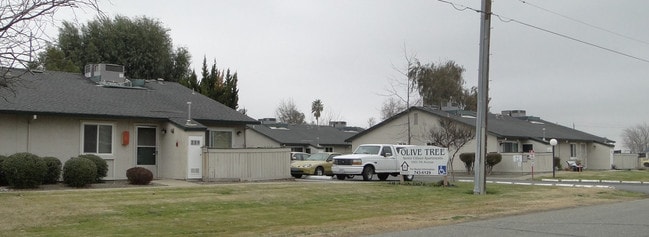 Olive Tree Senior Apartments