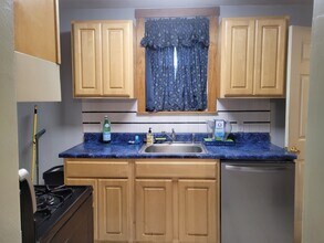 4309 Saline St in Pittsburgh, PA - Building Photo - Building Photo