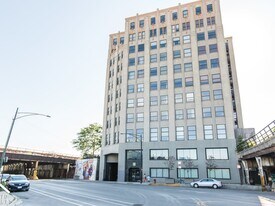 1550 S Blue Island Ave in Chicago, IL - Building Photo