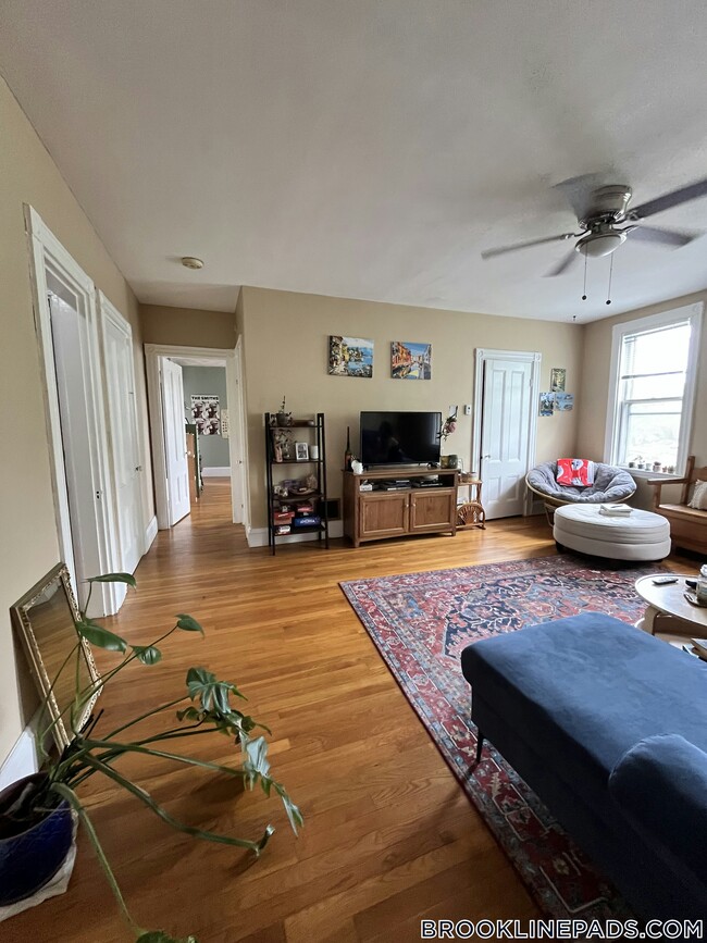 property at 234 Cypress St
