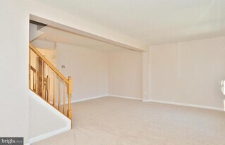 6414 Lureta Ann Ln in Springfield, VA - Building Photo