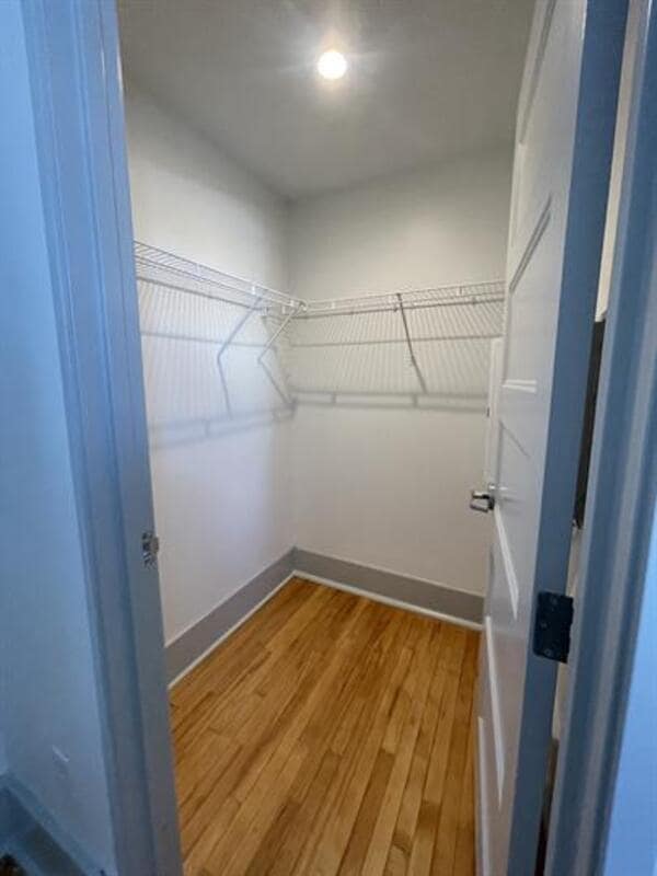 315 W 38th St in Savannah, GA - Building Photo - Building Photo