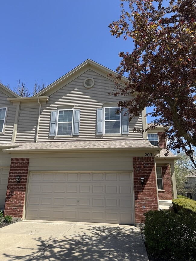 property at 207 Black Hill Dr
