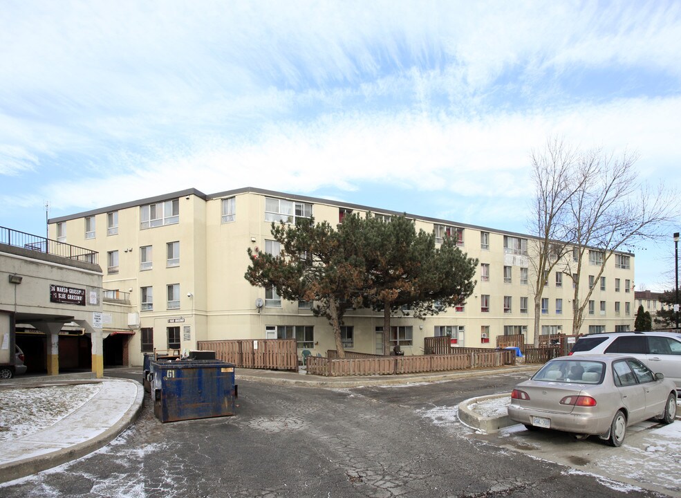 Firgrove Crescent in Toronto, ON - Building Photo