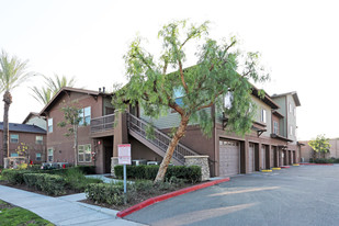 The Vineyard Townhomes in Anaheim, CA - Building Photo