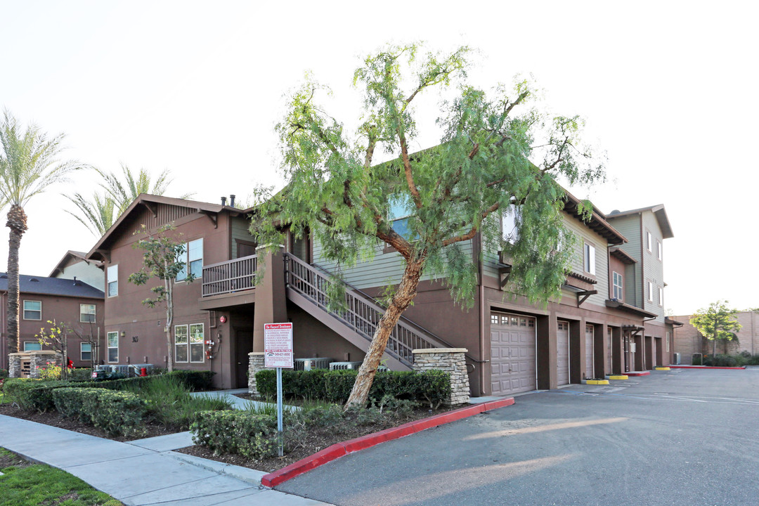 The Vineyard Townhomes in Anaheim, CA - Building Photo