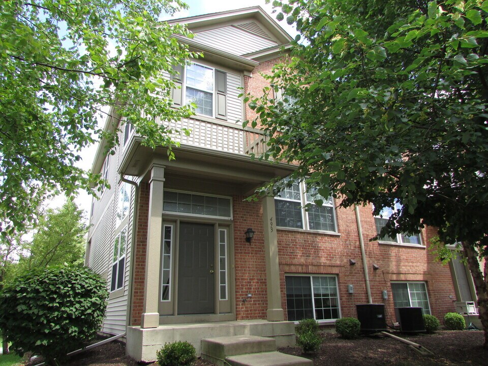 493 Conservatory Ln in Aurora, IL - Building Photo