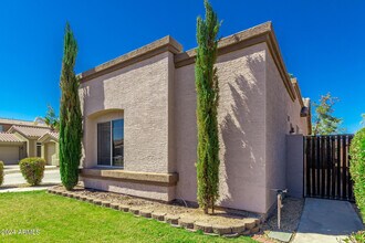 756 W Citrus Way in Chandler, AZ - Building Photo - Building Photo