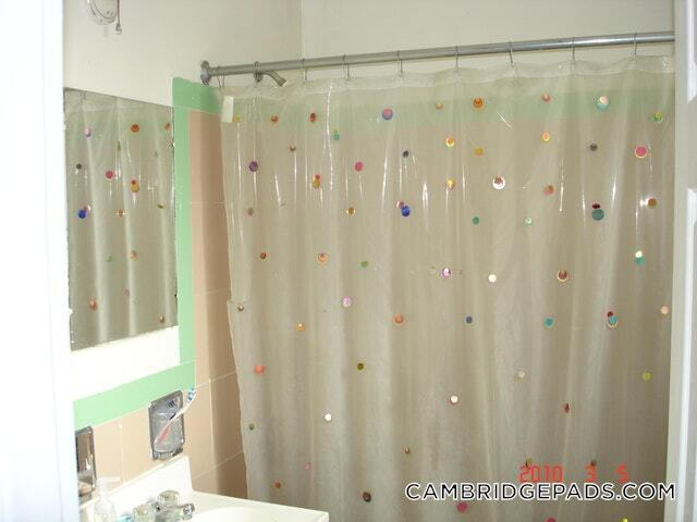 18 Chauncy St, Unit 5 in Cambridge, MA - Foto de edificio - Building Photo