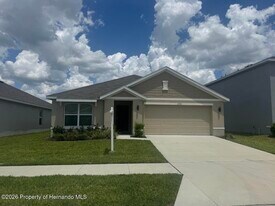 13374 Mylion Wy in Spring Hill, FL - Building Photo