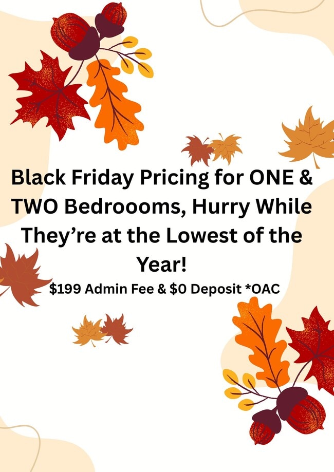 Springs of Country Woods