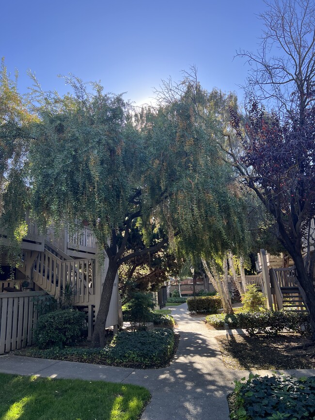 457 Coyote Creek Cir in San Jose, CA - Foto de edificio - Building Photo
