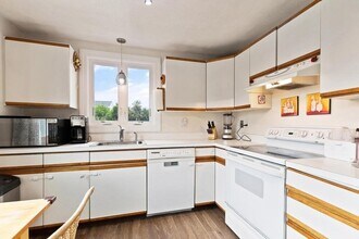 13 Circuit Ln in Watertown, MA - Building Photo - Building Photo