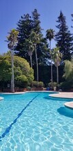 4205 Shelter Creek Ln in San Bruno, CA - Building Photo - Building Photo