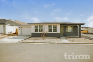 2441 Wolf Willow Ct in Reno, NV - Building Photo