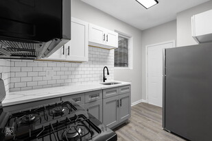 6101 S Langley in Chicago, IL - Building Photo