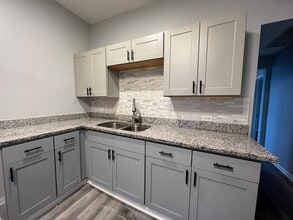 1355 S Springfield Ave, Unit 2 in Chicago, IL - Foto de edificio - Building Photo