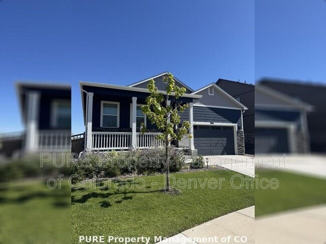 6378 N Halifax Ct in Aurora, CO - Building Photo - Building Photo