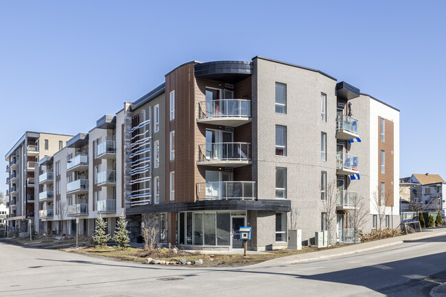 14 Morin St