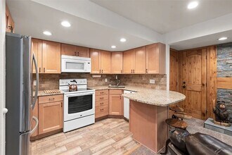 433 Wild Irishman Rd in Dillon, CO - Building Photo - Building Photo