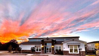 Overlook Palestine in Palestine, TX - Building Photo