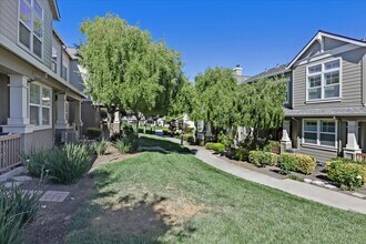 292 Wildrose Common in Livermore, CA - Building Photo - Building Photo