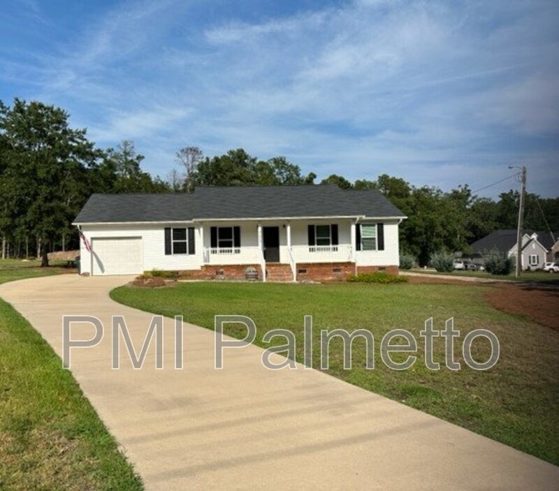 753 Murray Lindler Rd in Chapin, SC - Building Photo