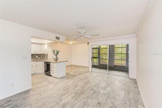 1001 S Bayshore Blvd in Safety Harbor, FL - Building Photo - Building Photo