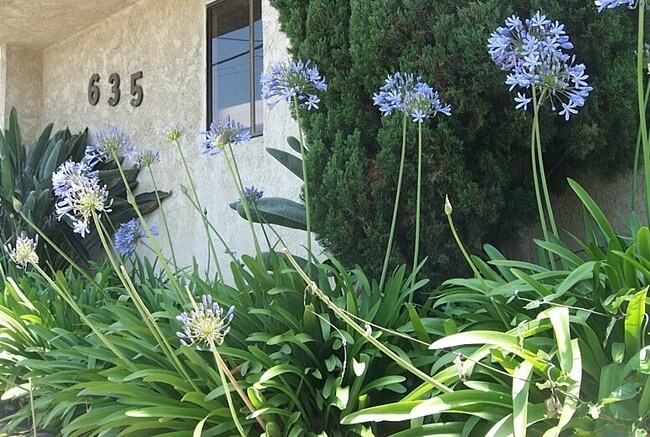 635 W 5th St in San Pedro, CA - Foto de edificio - Building Photo