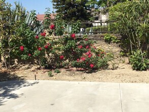 125 Avenida Grulla in Walnut, CA - Building Photo - Building Photo