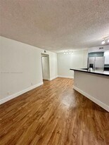 643 Vista Isles Dr in Plantation, FL - Building Photo