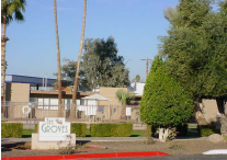 The Groves Apartments in Mesa, AZ - Building Photo