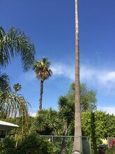 263 N Florence St in Burbank, CA - Building Photo - Building Photo