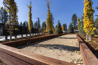 Coburn Crossing in Truckee, CA - Building Photo - Building Photo