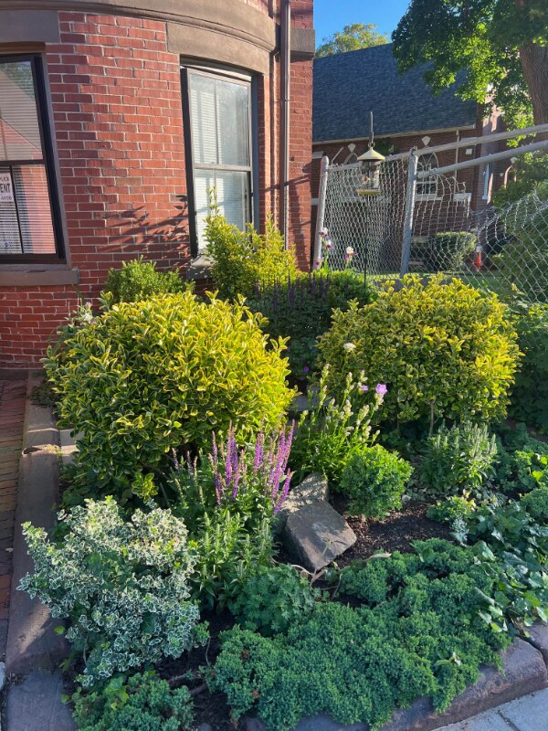 8 Alvah Kittredge Park in Boston, MA - Building Photo - Building Photo