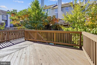 14705 Flower Hill Dr in Centreville, VA - Building Photo - Building Photo