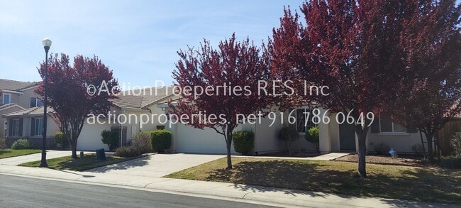 3129 Overton Way in Roseville, CA - Building Photo - Building Photo