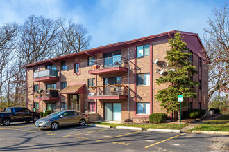 8473 S Archer Ave in Willow Springs, IL - Building Photo - Primary Photo