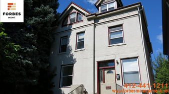 248 S Atlantic Ave in Pittsburgh, PA - Building Photo