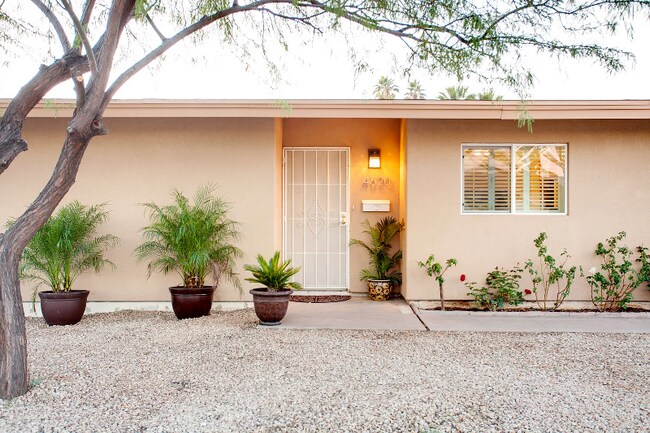 4620 N 74th Pl in Scottsdale, AZ - Building Photo - Building Photo