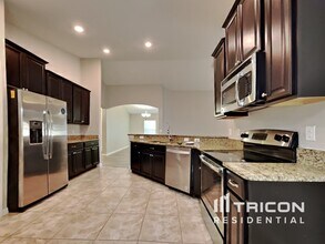 16668 Myrtle Sand Dr in Wimauma, FL - Building Photo - Building Photo
