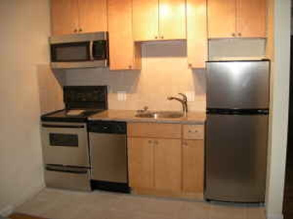 207 W Springfield St, Unit 1 in Boston, MA - Building Photo